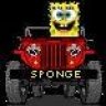 sponge