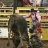 PRCA Bullfighter