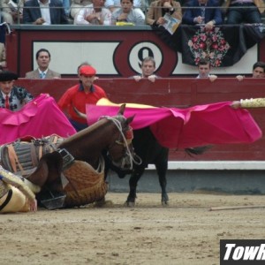 10-08-05_Bull_Fights_in_Madrid_Spain_31_r