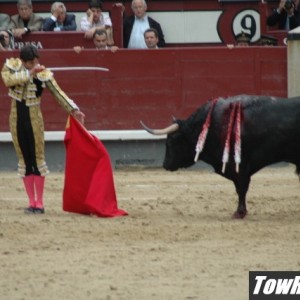 10-08-05_Bull_Fights_in_Madrid_Spain_41_r