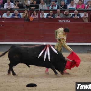 10-08-05_Bull_Fights_in_Madrid_Spain_74_r