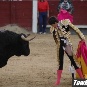 10-08-05_Bull_Fights_in_Madrid_Spain_80_r