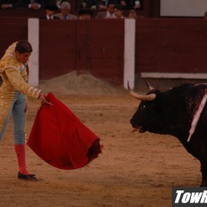 10-08-05_Bull_Fights_in_Madrid_Spain_96_r