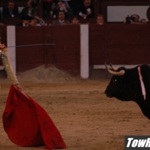 10-08-05_Bull_Fights_in_Madrid_Spain_98_r