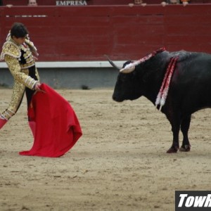 10-08-05_Bull_Fights_in_Madrid_Spain_40_r